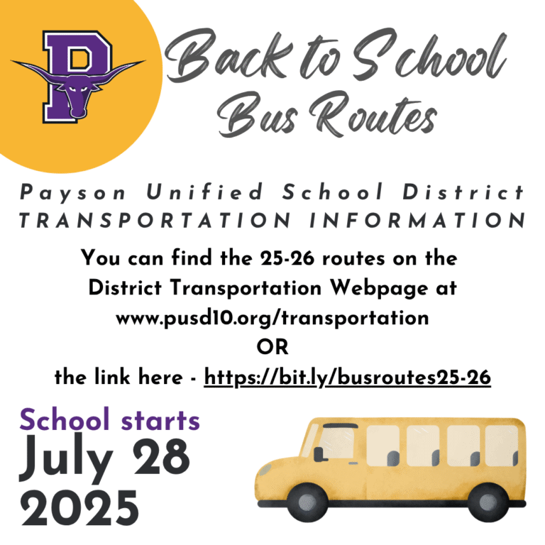 Bus Routes